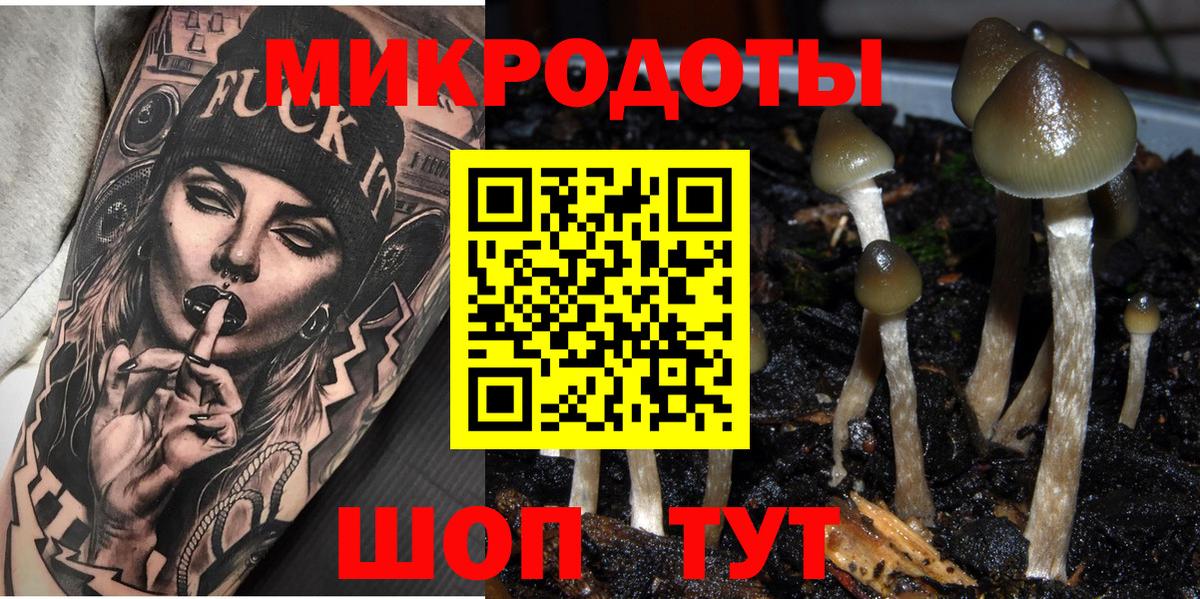 Галлюциногенные грибы Cubensis Ревда