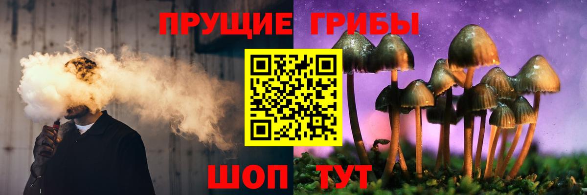 купить   Вход с VPN  Ревда  Псилоцибиновые грибы Psilocybine cubensis 